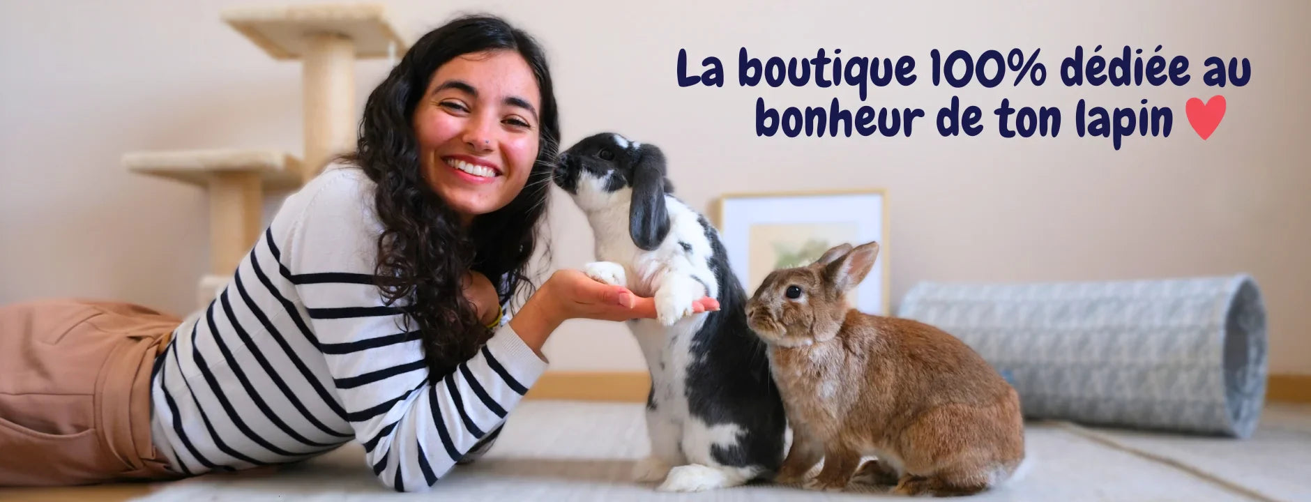 optimisation-shopify-le-meilleur-pour-mon-lapin-agence-liquid.webp